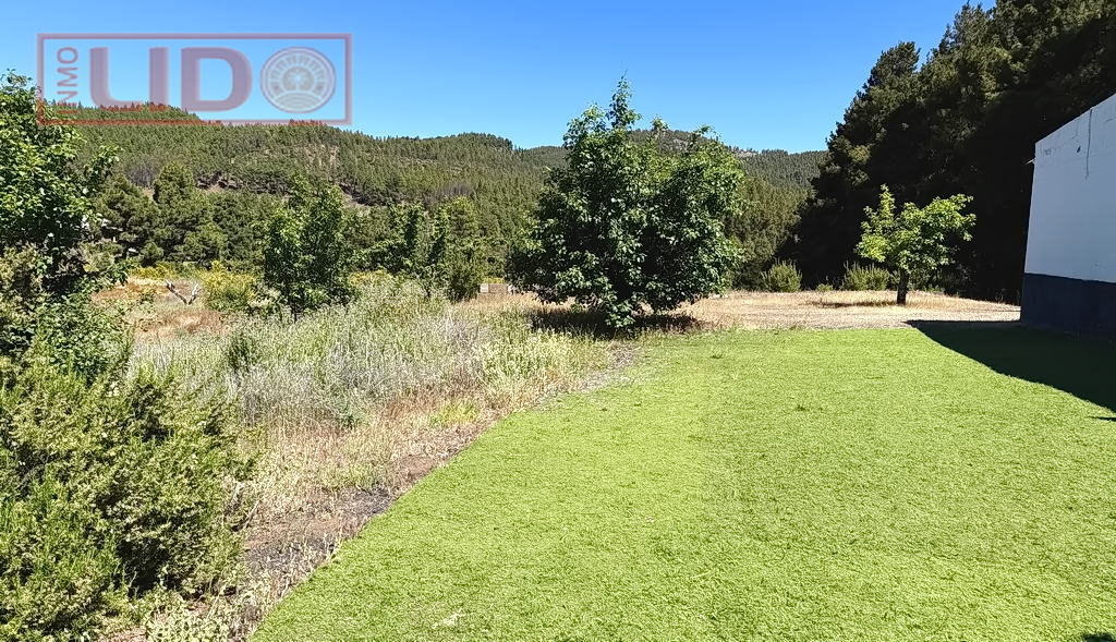rustic_property_sale_tejeda_10.JPG