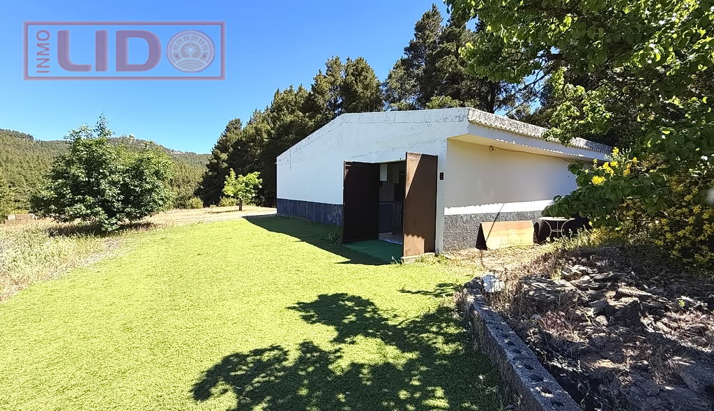 rustic_property_sale_tejeda_11.JPG
