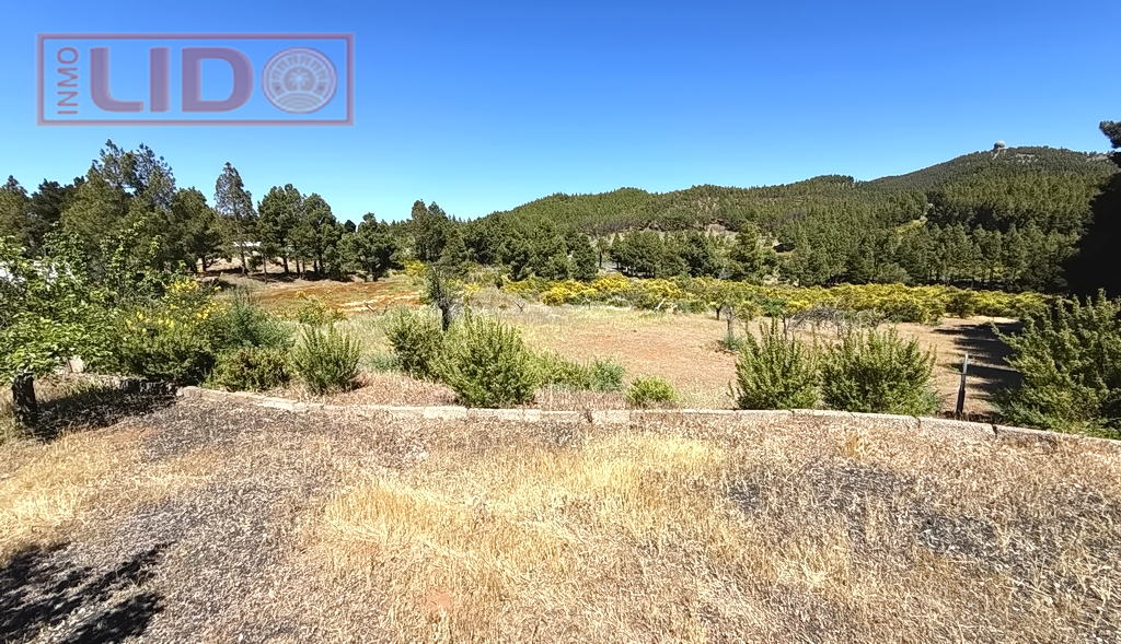 rustic_property_sale_tejeda_12.JPG