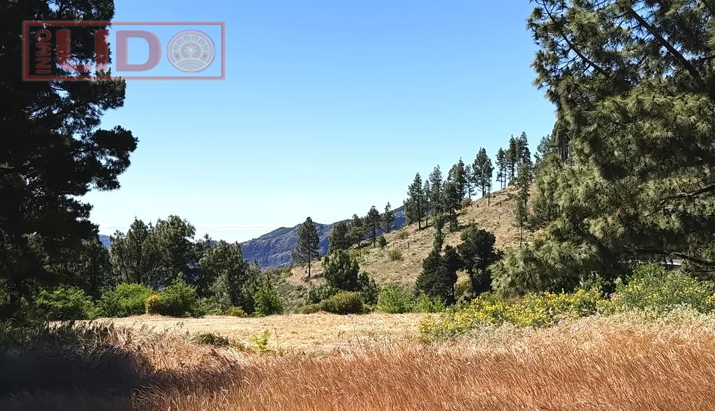 rustic_property_sale_tejeda_16.JPG
