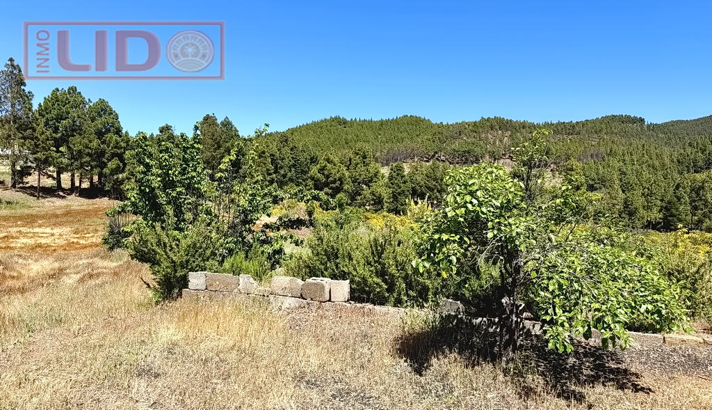 rustic_property_sale_tejeda_4.JPG