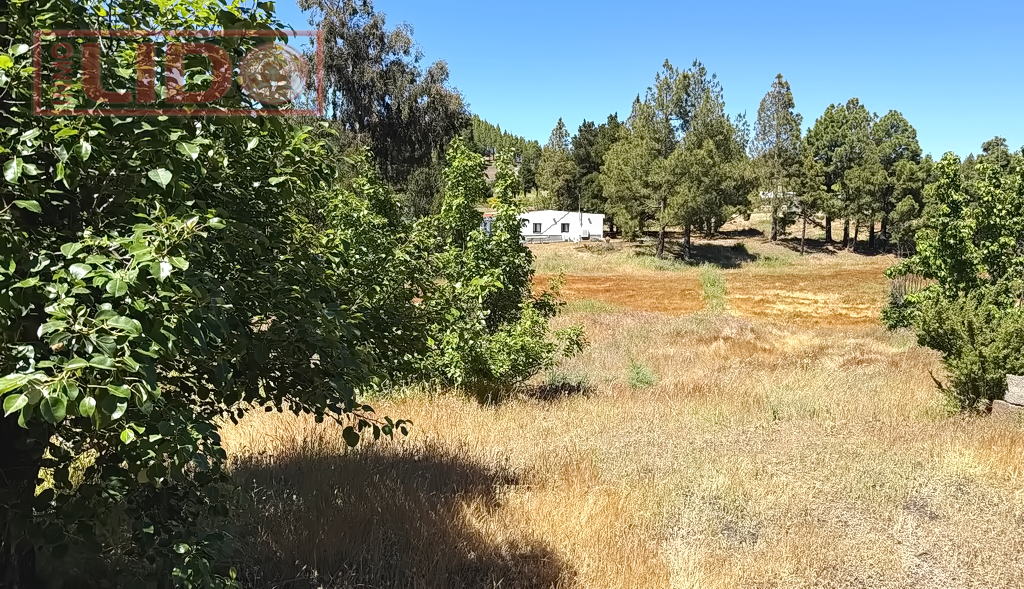 rustic_property_sale_tejeda_5.JPG