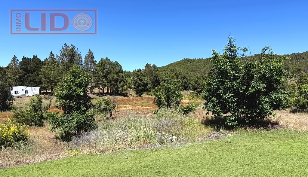 rustic_property_sale_tejeda_7.JPG