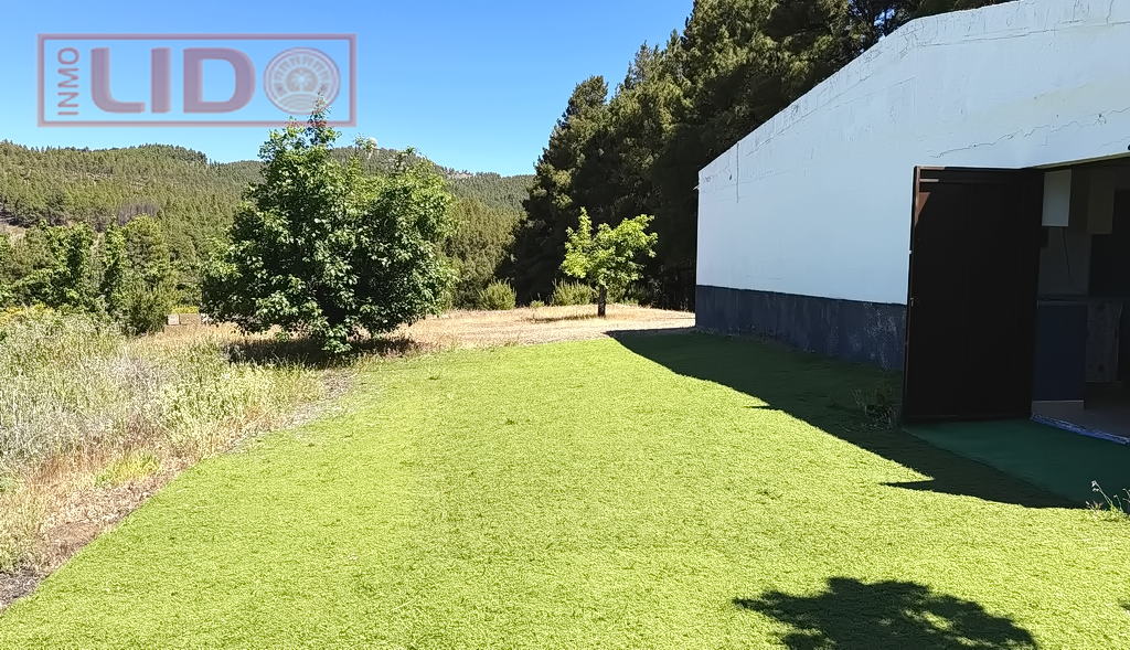 rustic_property_sale_tejeda_9.JPG