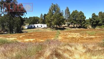 rustic_property_sale_tejeda_14.JPG