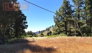 rustic_property_sale_tejeda_15.JPG