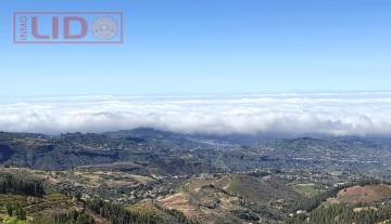 rustic_property_sale_tejeda_21.JPG
