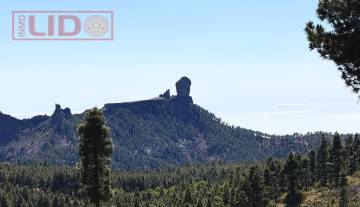 rustic_property_sale_tejeda_22.JPG