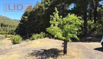 rustic_property_sale_tejeda_3.JPG