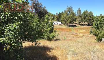 rustic_property_sale_tejeda_5.JPG
