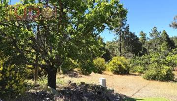 rustic_property_sale_tejeda_8.JPG