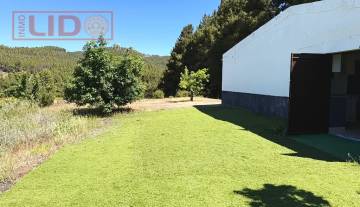 rustic_property_sale_tejeda_9.JPG